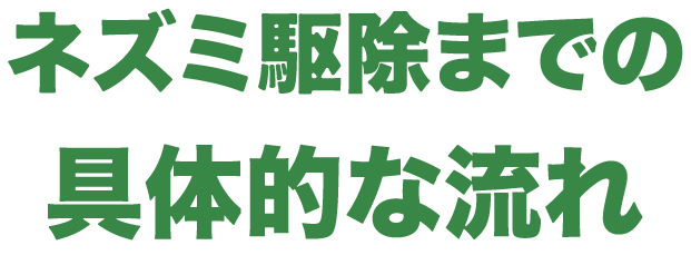 ネズミ駆除までの具体的な流れ