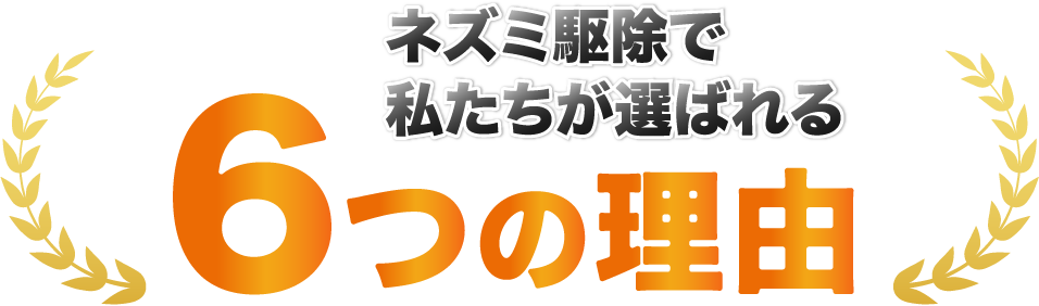 ネズミ駆除で私たちが選ばれる6つの理由