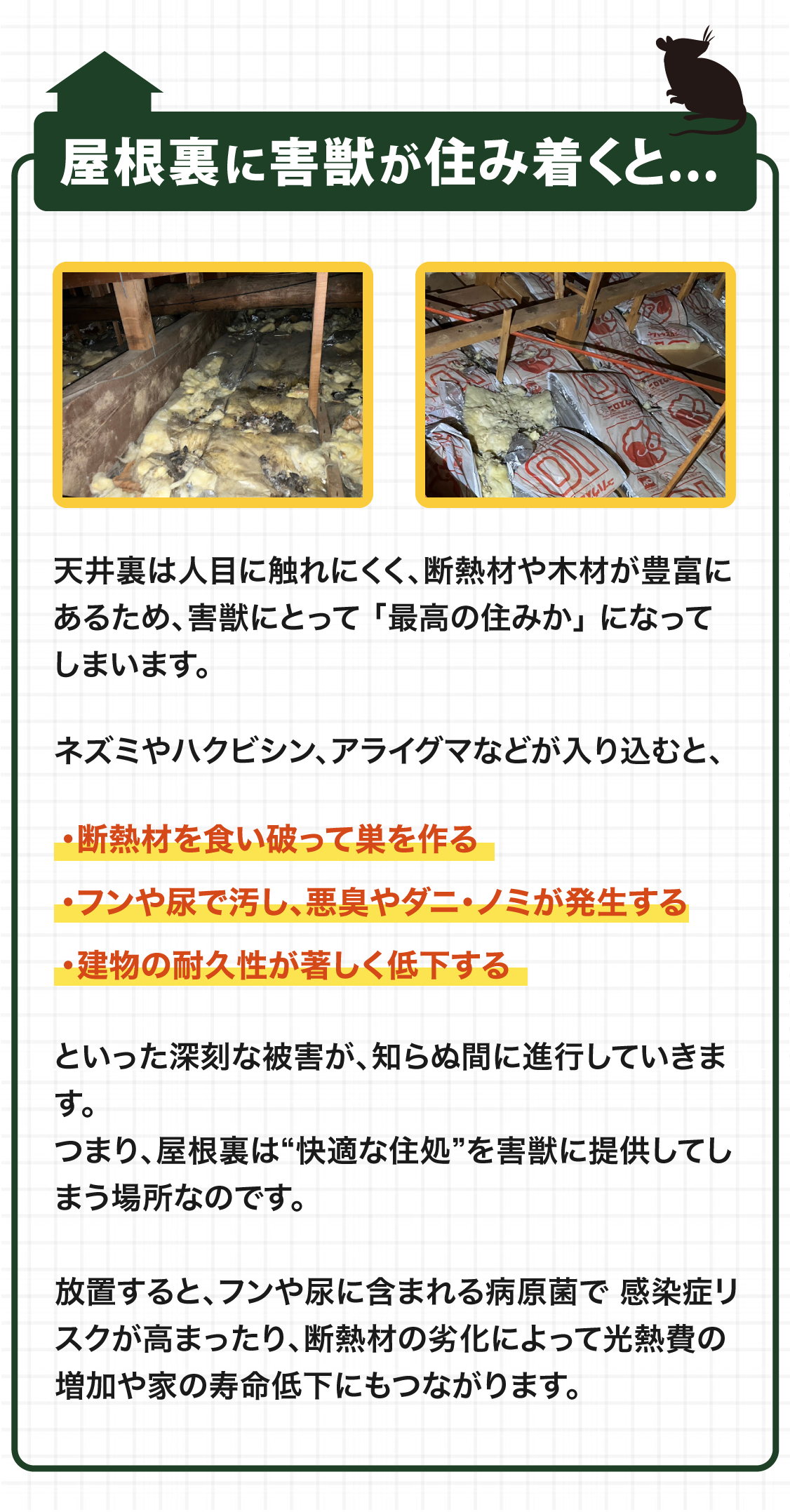 屋根裏に害獣が住み着くと...