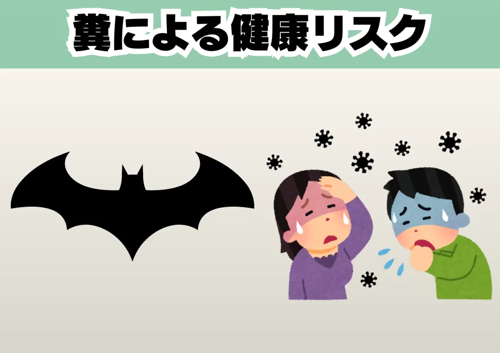 コウモリふんいよる健康リスク