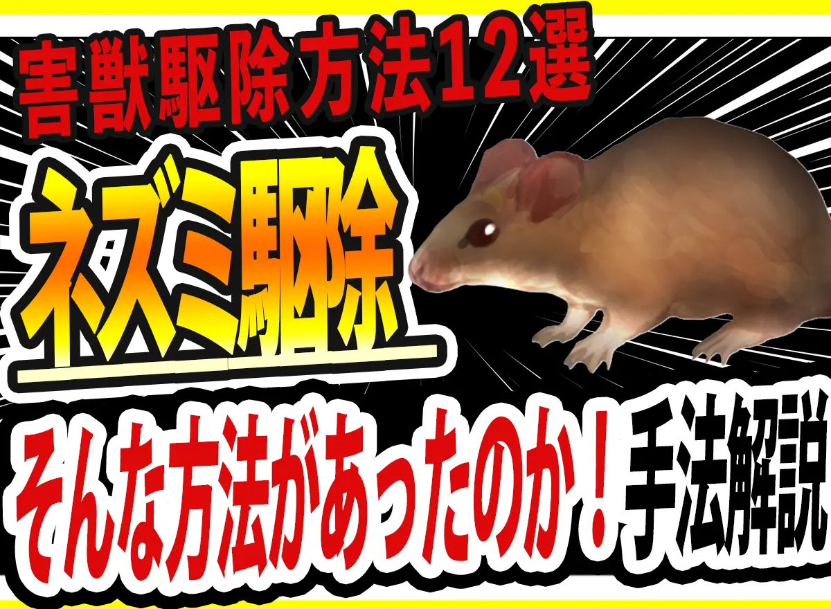 ネズミ駆除方法12選