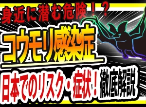 コウモリのフンは感染症の危険？症状と日本のリスクを解説