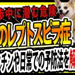 犬のレプトスピラ症
