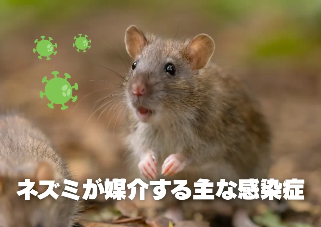 ネズミが媒介する感染症