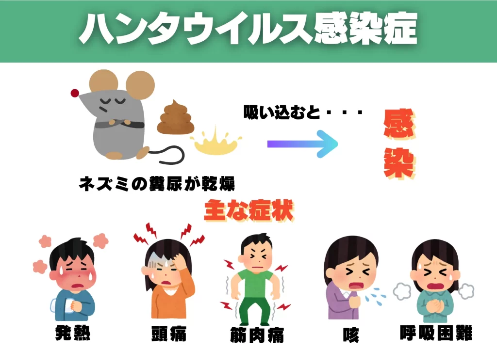 ネズミ感染症　ハンタウイルス