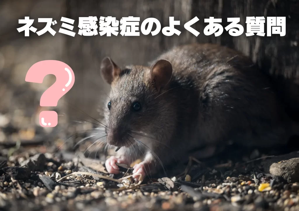 ネズミ感染症のよくある質問