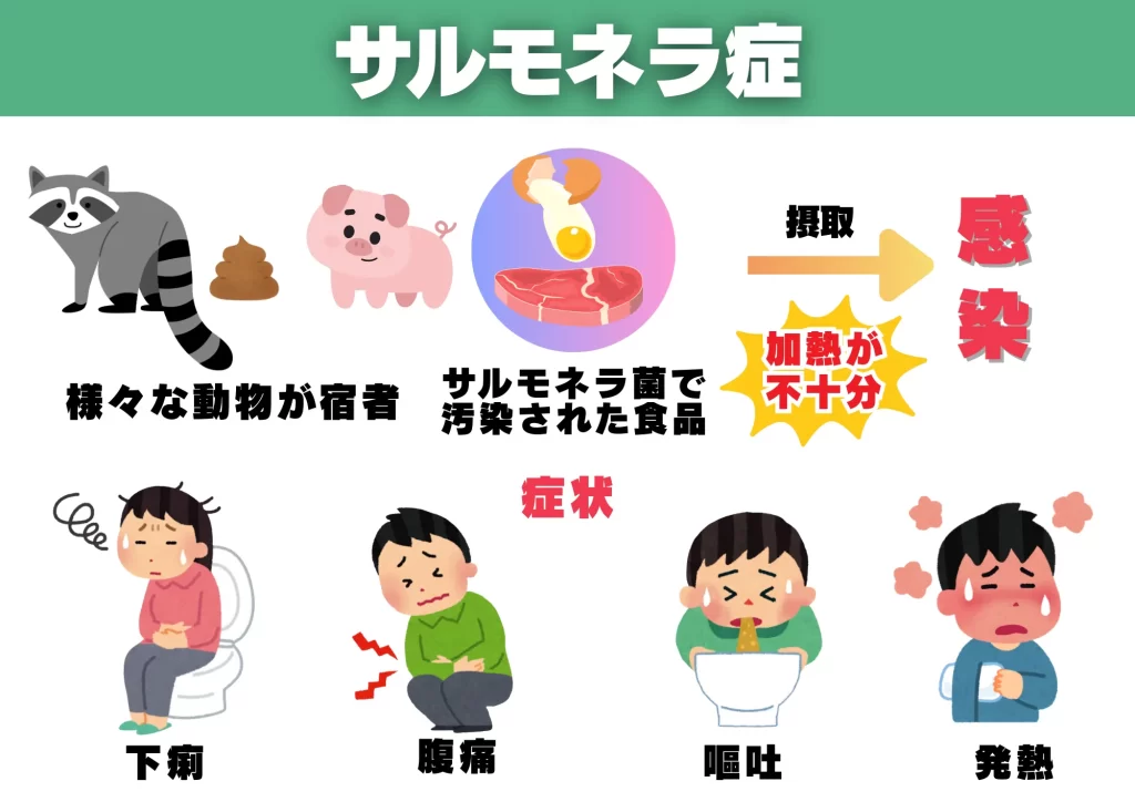 アライグマ感染症　サルモネラ症