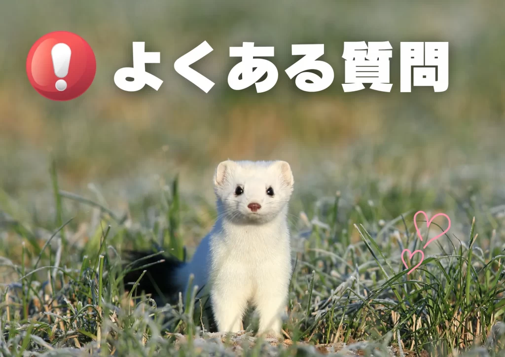 オコジョ　よくある質問（F&Q）