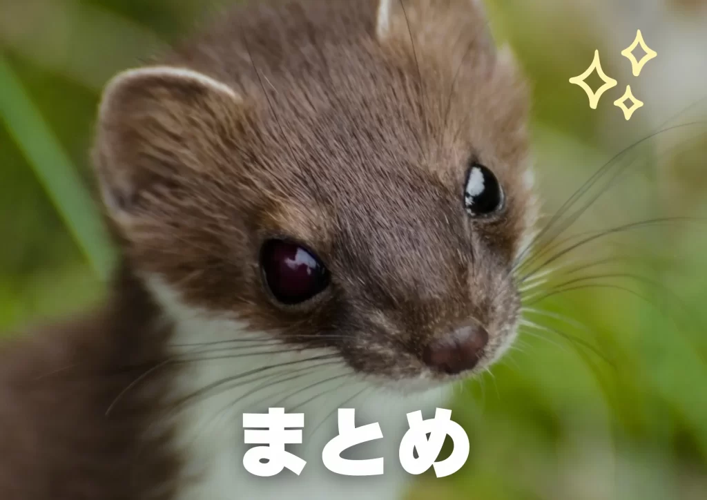 オコジョ　生態　まとめ