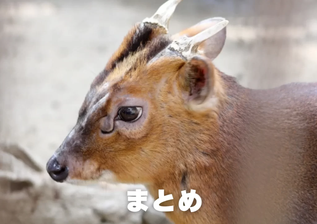 キョン　千葉県　生態　対策