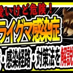 アライグマ感染症　対策　サムネ