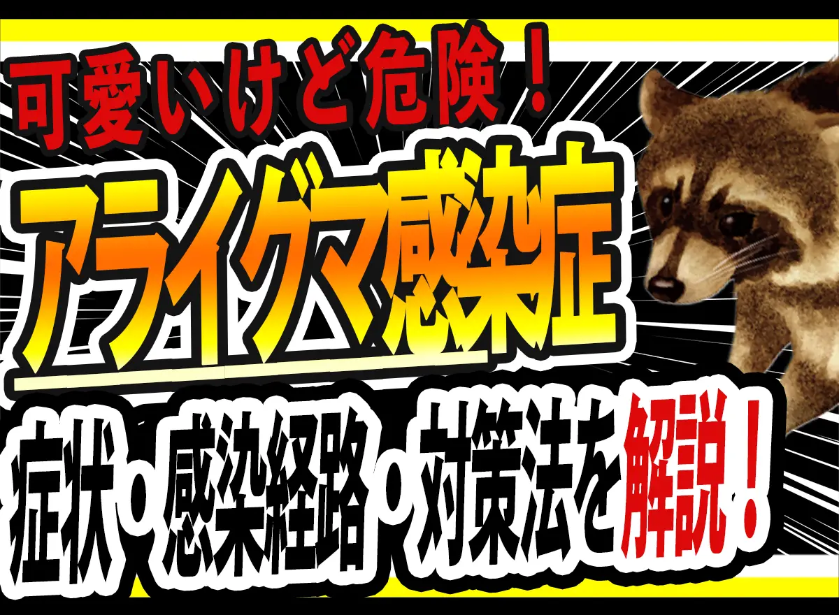 アライグマ感染症　対策　サムネ