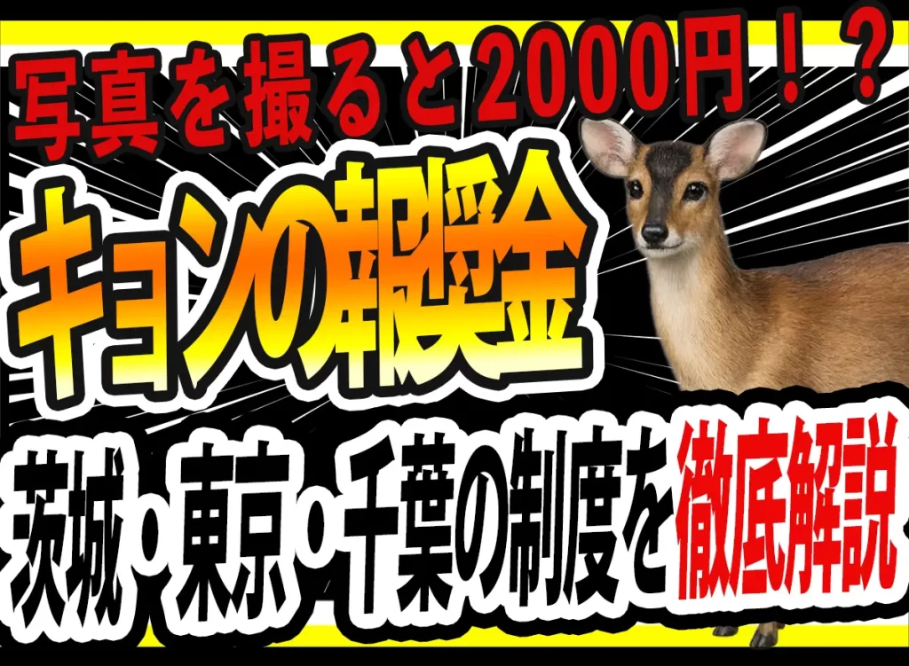 キョン報奨金制度とは？茨城・東京（伊豆大島）・千葉の制度を注意点まで徹底解説