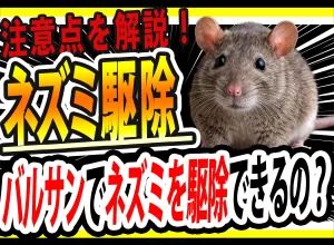 ネズミ駆除にバルサン(くん煙剤)ってほんとに効果あるの？？