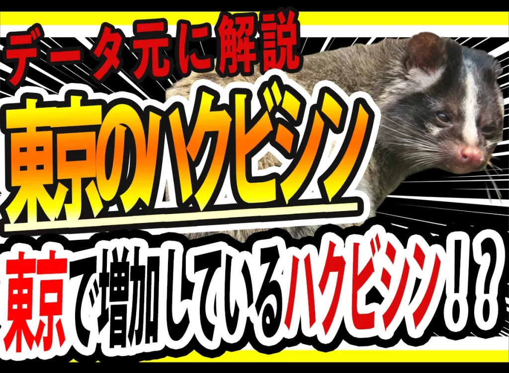 【2026年最新版】東京でハクビシンが増えている理由