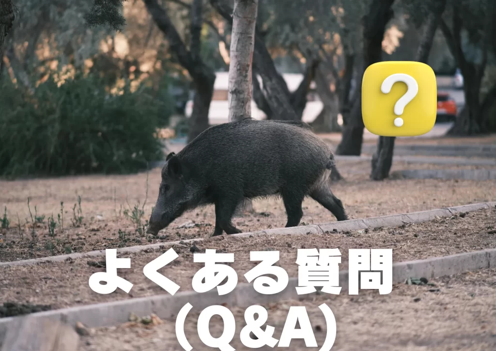 イノシシ よくある質問