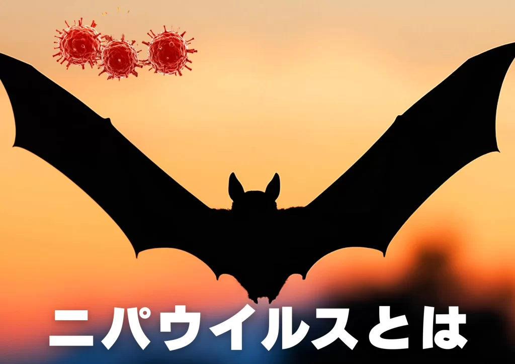 ニパウイルスとは コウモリ 解説