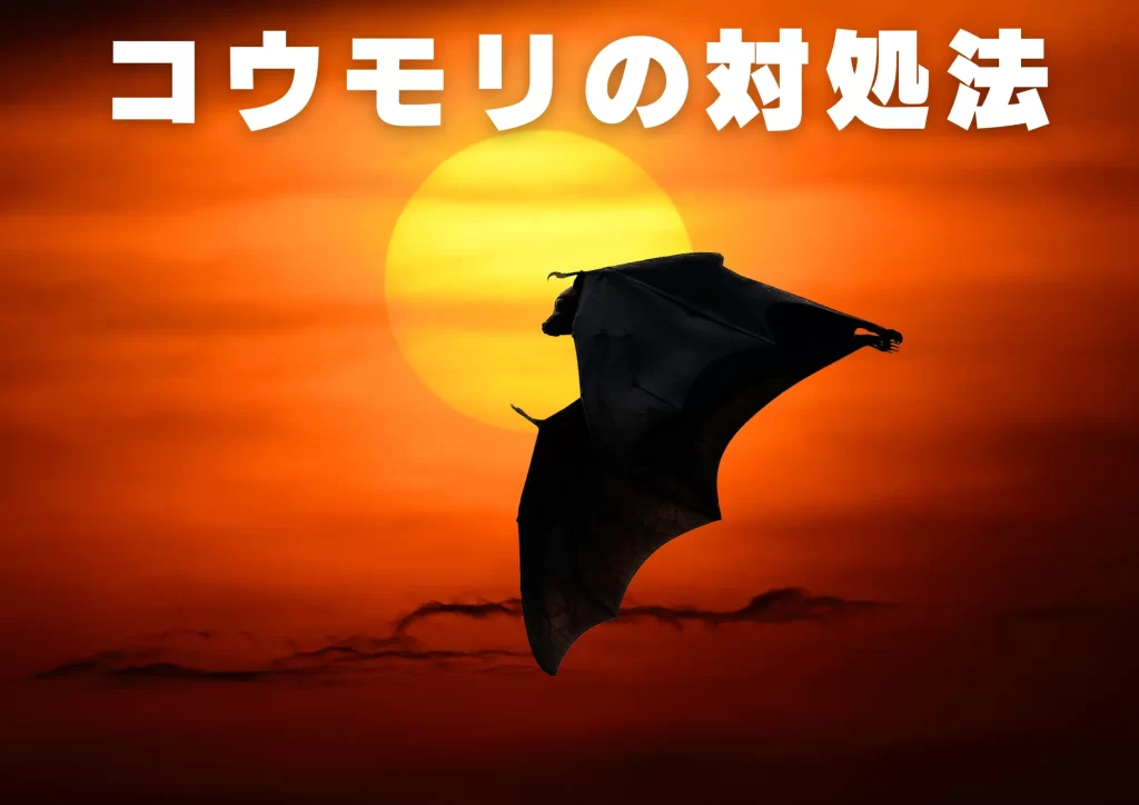 ニパウイルス コウモリ 対処法