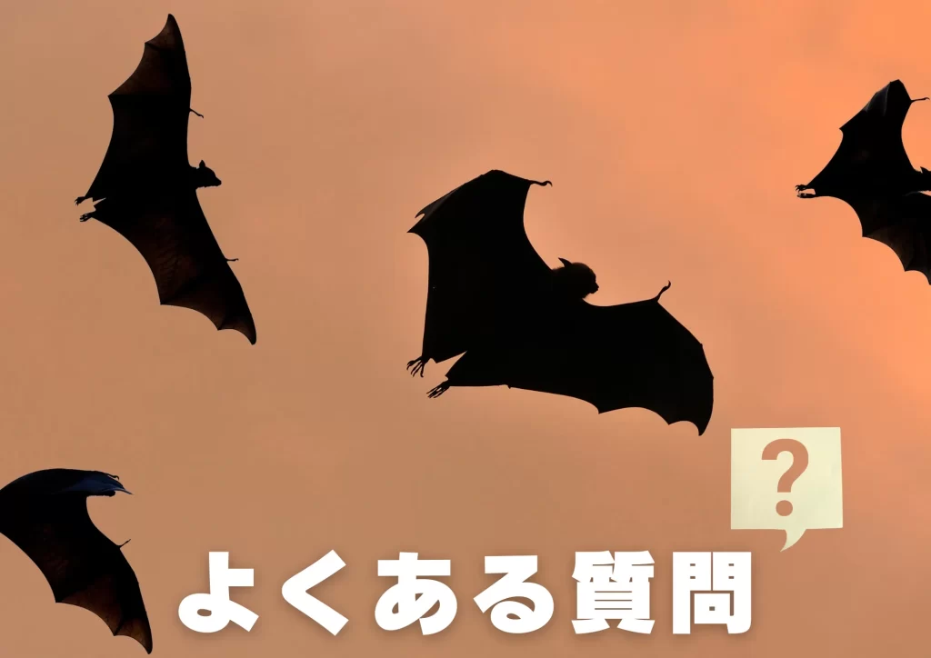 ニパウイルス コウモリ よくある質問