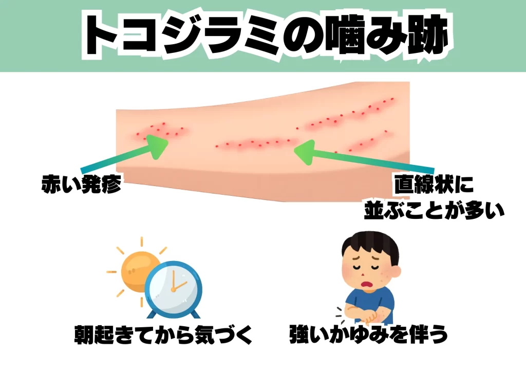 トコジラミの噛み跡