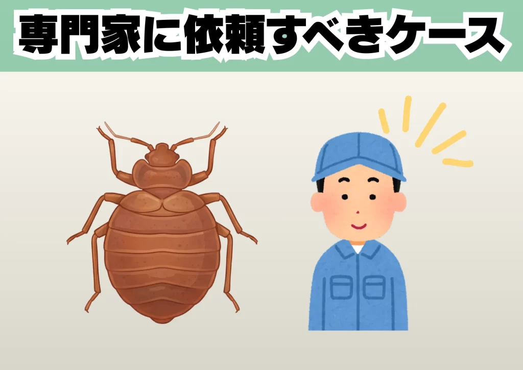 トコジラミ専門業者に依頼すべきケース