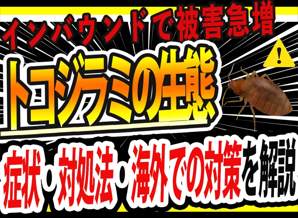 トコジラミの生態・特徴・対策サムネ