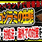 トコジラミの生態・特徴・対策サムネ