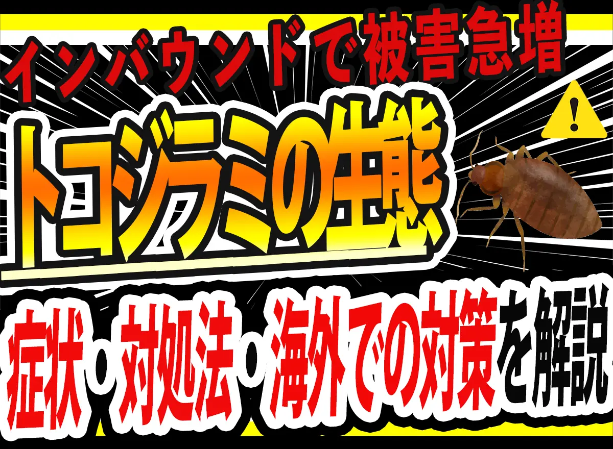 トコジラミの生態・特徴・対策サムネ
