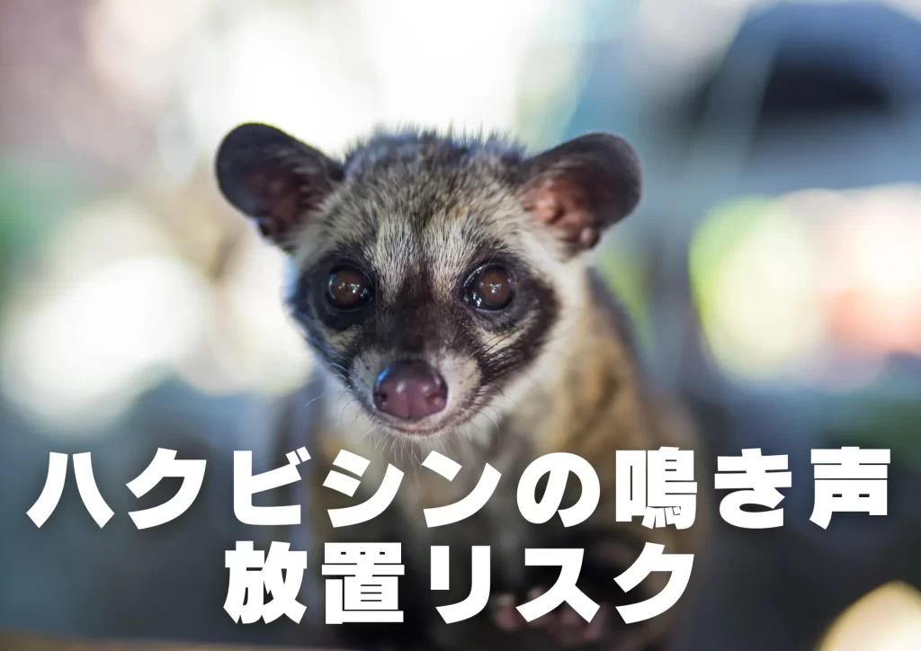 ハクビシンの鳴き声放置リスク
