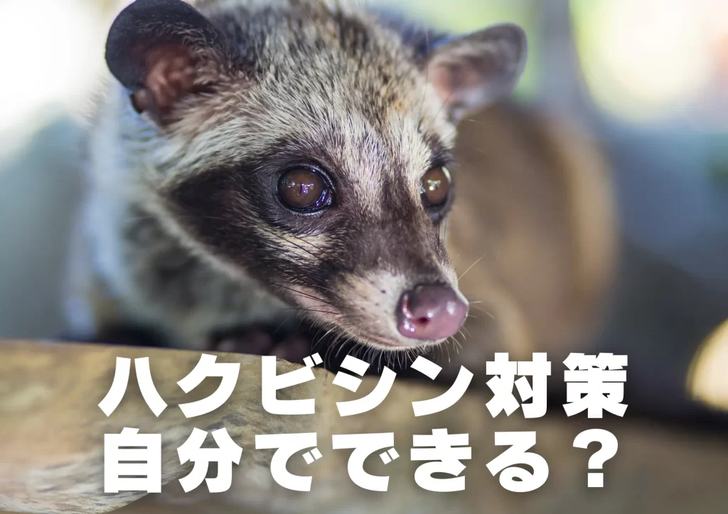 ハクビシン対策自分でできる?