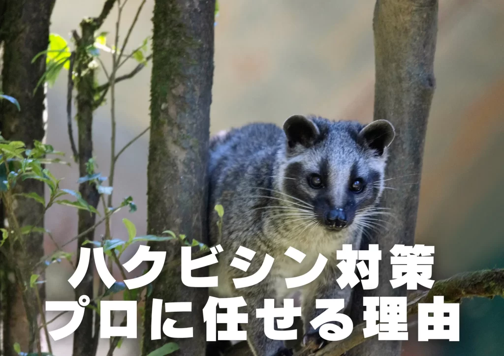 ハクビシンプロに任せる理由