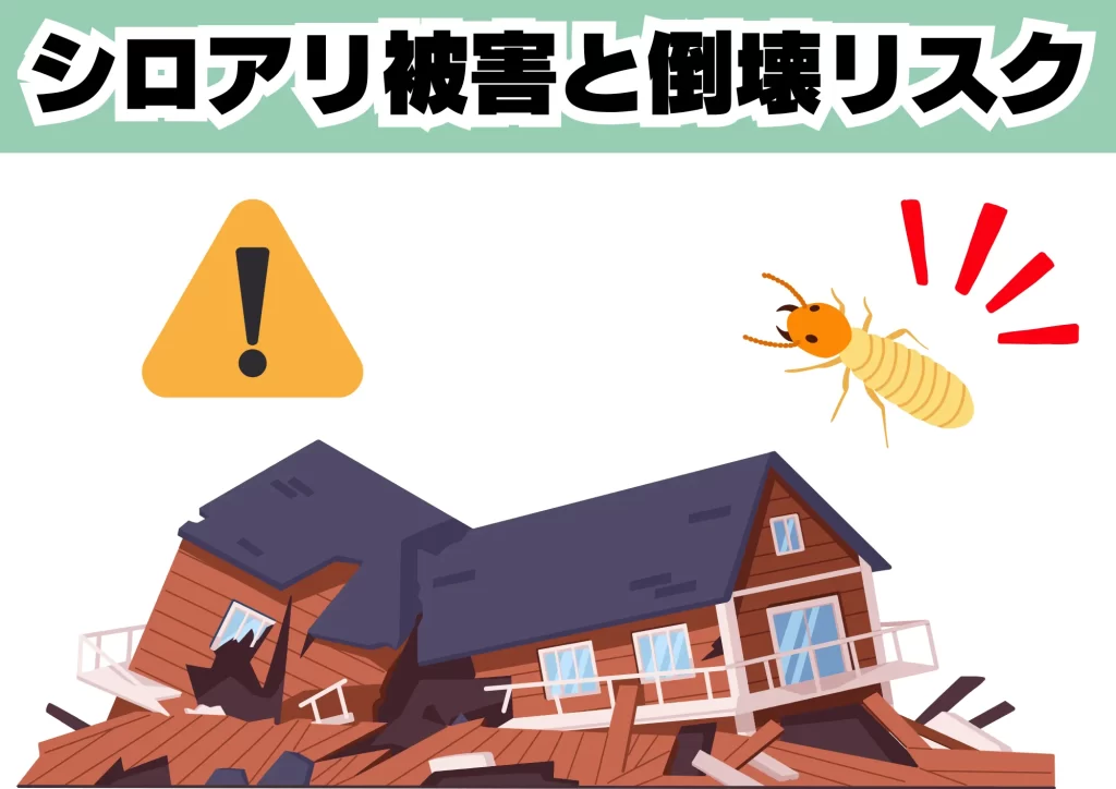 シロアリ被害と倒壊リスク